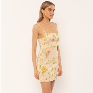 Amuse Society Dulce Dress